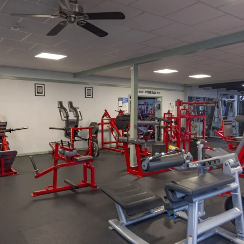 Photo of Gym Equipment at LJ's Fitness