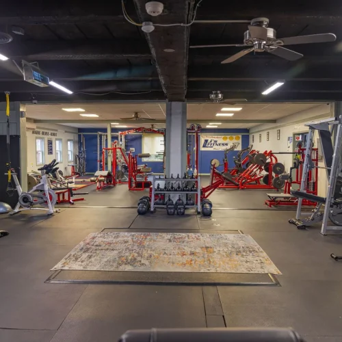 Photo of Gym Equipment at LJ's Fitness