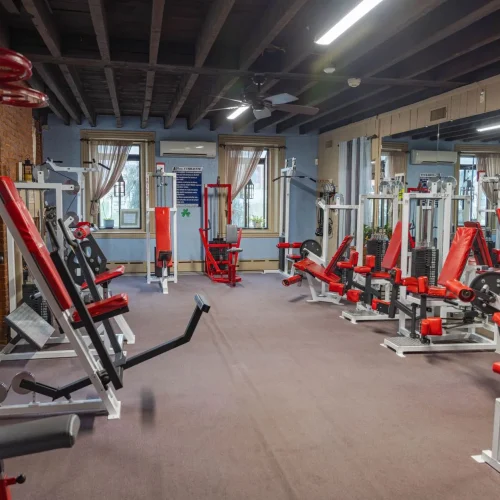 Photo of Gym Equipment at LJ's Fitness